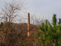 /album/la-bobila-de-viladecans/sin-efectos-bobila-jpg/